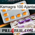 Kamagra 100 Ajanta new12